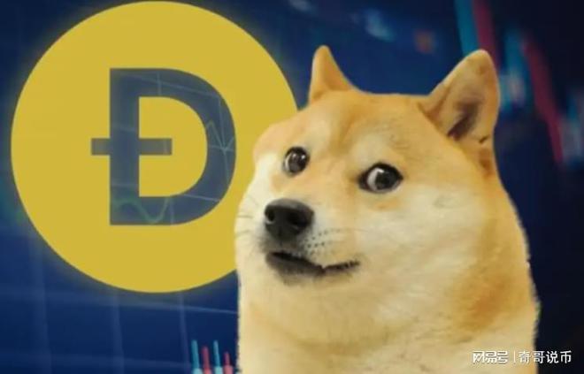 狗狗幣今日行情概覽，最新價格走勢分析