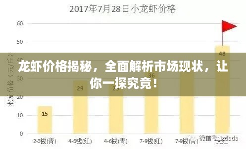龍蝦價(jià)格揭秘，全面解析市場(chǎng)現(xiàn)狀，讓你一探究竟！