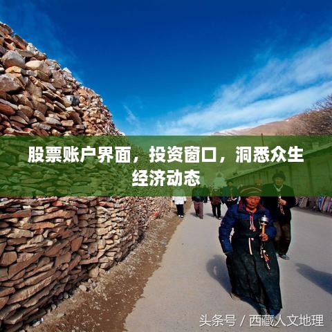 股票賬戶(hù)界面，投資窗口，洞悉眾生經(jīng)濟(jì)動(dòng)態(tài)