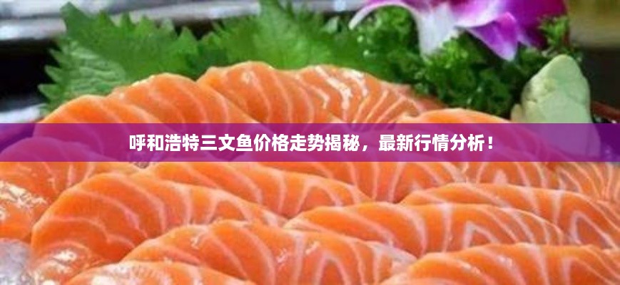 呼和浩特三文魚價格走勢揭秘，最新行情分析！