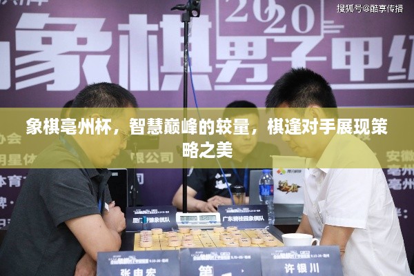 象棋亳州杯，智慧巔峰的較量，棋逢對手展現(xiàn)策略之美