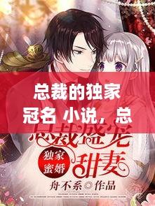 總裁的獨(dú)家冠名 小說，總裁的獨(dú)家盛寵全文免費(fèi)閱讀 