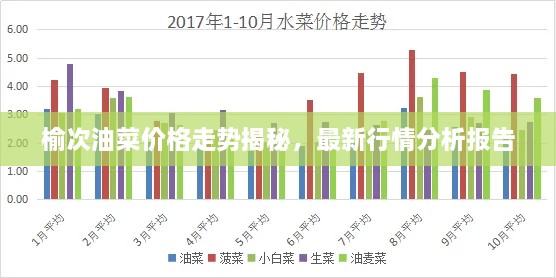 榆次油菜價(jià)格走勢揭秘，最新行情分析報(bào)告
