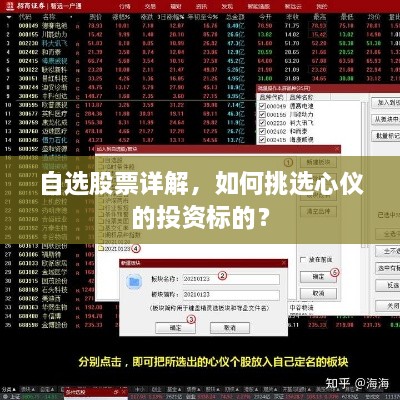 自選股票詳解，如何挑選心儀的投資標(biāo)的？