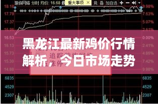 黑龍江最新雞價(jià)行情解析，今日市場(chǎng)走勢(shì)一網(wǎng)打盡