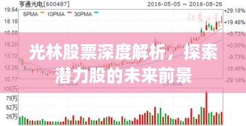 光林股票深度解析，探索潛力股的未來(lái)前景