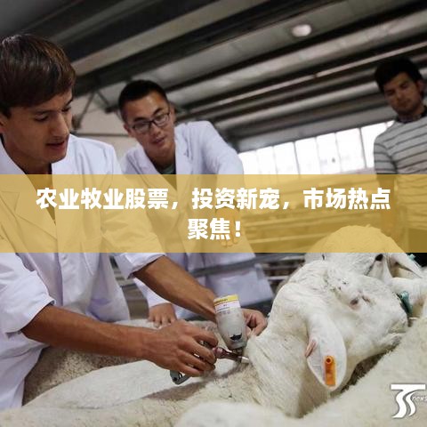 農(nóng)業(yè)牧業(yè)股票，投資新寵，市場熱點聚焦！