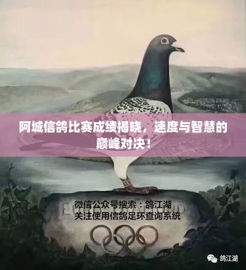 阿城信鴿比賽成績揭曉，速度與智慧的巔峰對決！