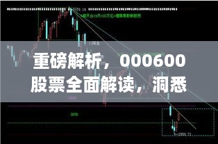 重磅解析，000600股票全面解讀，洞悉投資趨勢(shì)！