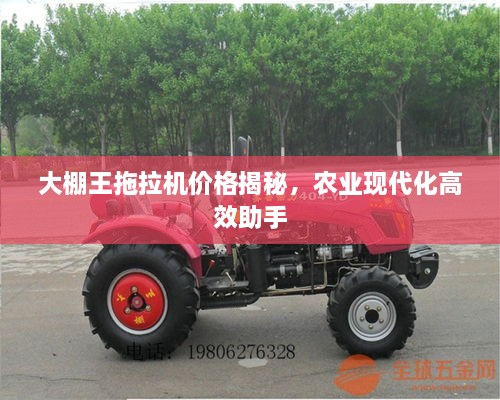大棚王拖拉機價格揭秘，農業(yè)現(xiàn)代化高效助手