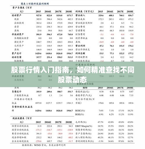 股票行情入門指南，如何精準(zhǔn)查找不同股票動(dòng)態(tài)