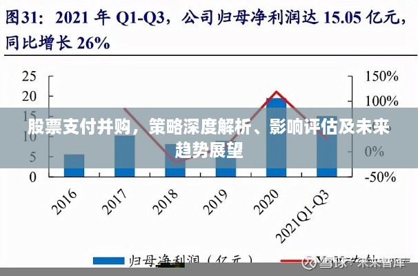 股票支付并購，策略深度解析、影響評估及未來趨勢展望