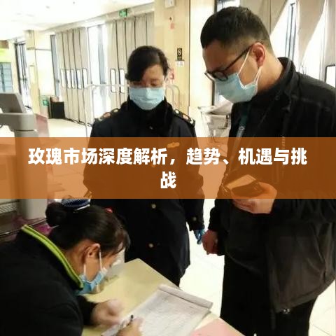 玫瑰市場深度解析，趨勢、機遇與挑戰(zhàn)