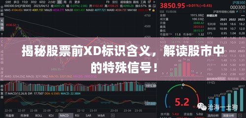 揭秘股票前XD標(biāo)識(shí)含義，解讀股市中的特殊信號(hào)！