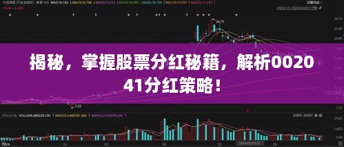 揭秘，掌握股票分紅秘籍，解析002041分紅策略！