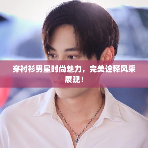 穿襯衫男星時(shí)尚魅力，完美詮釋風(fēng)采展現(xiàn)！