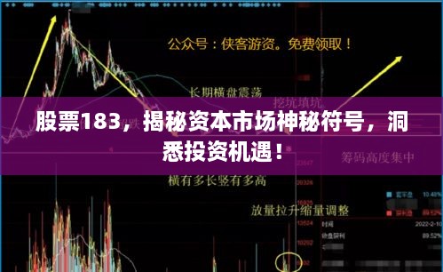 股票183，揭秘資本市場神秘符號，洞悉投資機遇！
