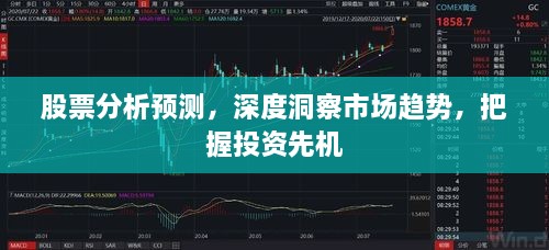 股票分析預(yù)測(cè)，深度洞察市場(chǎng)趨勢(shì)，把握投資先機(jī)