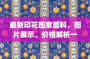最新印花圖案面料，圖片展示、價(jià)格解析一網(wǎng)打盡