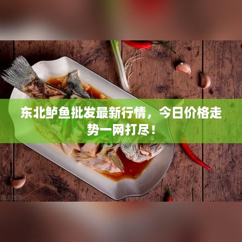 東北鱸魚批發(fā)最新行情，今日價(jià)格走勢(shì)一網(wǎng)打盡！