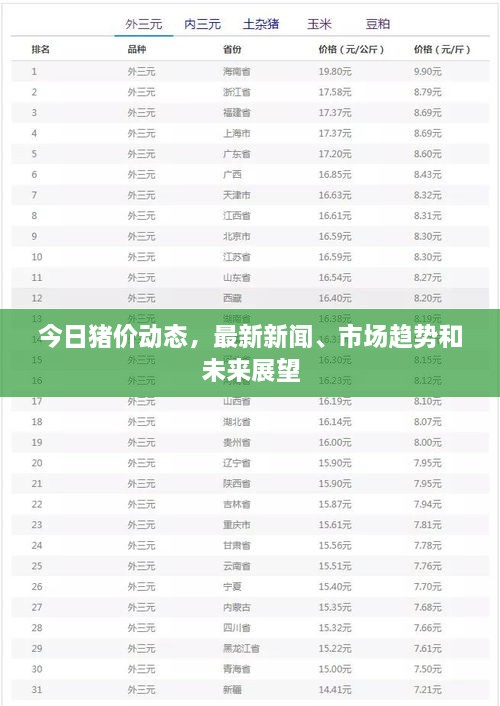 今日豬價動態(tài)，最新新聞、市場趨勢和未來展望