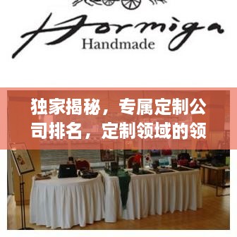 獨家揭秘，專屬定制公司排名，定制領域的領軍者