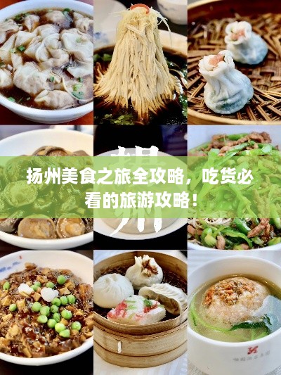 揚州美食之旅全攻略，吃貨必看的旅游攻略！