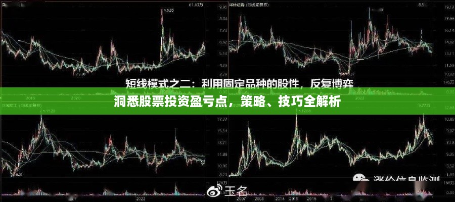洞悉股票投資盈虧點(diǎn)，策略、技巧全解析