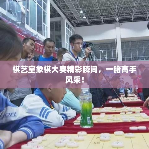 棋藝室象棋大賽精彩瞬間，一睹高手風(fēng)采！