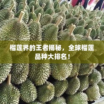 榴蓮界的王者揭秘，全球榴蓮品種大排名！