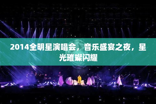 2014全明星演唱會，音樂盛宴之夜，星光璀璨閃耀