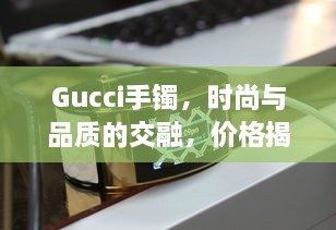 Gucci手鐲，時(shí)尚與品質(zhì)的交融，價(jià)格揭秘！