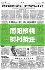 南陽核桃樹村拆遷重磅更新，最新動態(tài)揭秘！