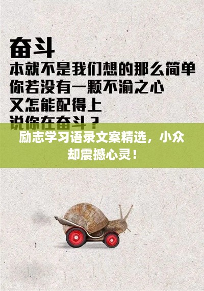 勵志學(xué)習(xí)語錄文案精選，小眾卻震撼心靈！