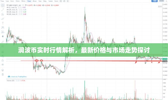 潤波幣實(shí)時行情解析，最新價格與市場走勢探討
