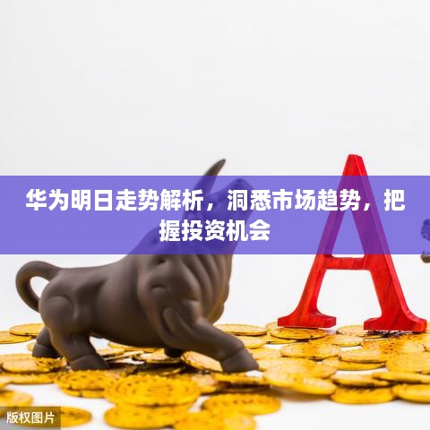 華為明日走勢(shì)解析，洞悉市場(chǎng)趨勢(shì)，把握投資機(jī)會(huì)