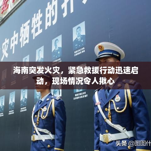 海南突發(fā)火災，緊急救援行動迅速啟動，現(xiàn)場情況令人揪心
