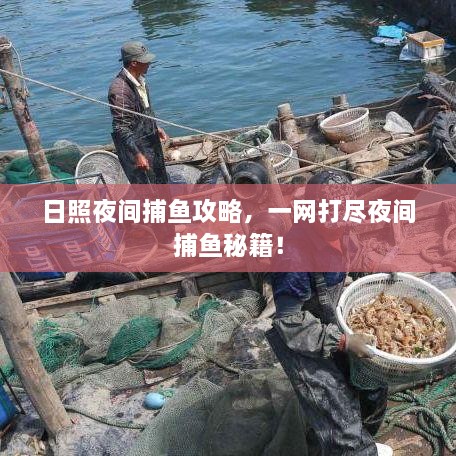 日照夜間捕魚攻略，一網(wǎng)打盡夜間捕魚秘籍！