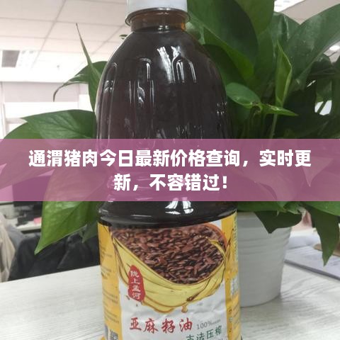 通渭豬肉今日最新價(jià)格查詢，實(shí)時(shí)更新，不容錯(cuò)過(guò)！