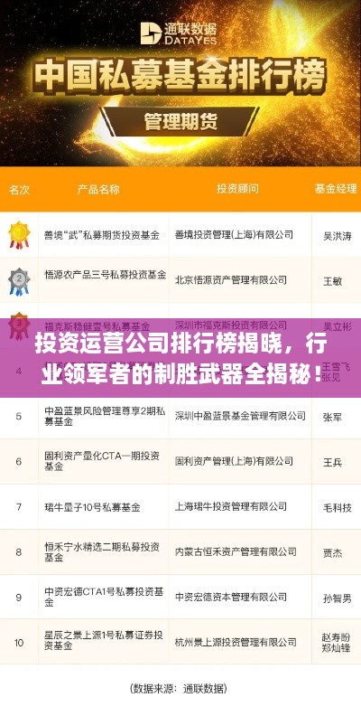 投資運營公司排行榜揭曉，行業(yè)領軍者的制勝武器全揭秘！