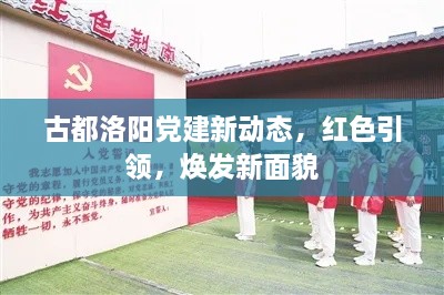 古都洛陽黨建新動態(tài)，紅色引領(lǐng)，煥發(fā)新面貌