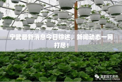 寧武最新消息今日綜述，新聞動(dòng)態(tài)一網(wǎng)打盡！
