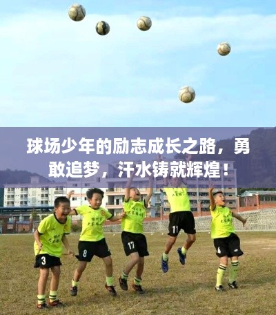 球場少年的勵志成長之路，勇敢追夢，汗水鑄就輝煌！
