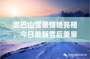泥巴山雪景驚艷亮相，今日最新雪后美景報(bào)道！