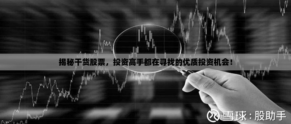 揭秘干貨股票，投資高手都在尋找的優(yōu)質(zhì)投資機(jī)會！