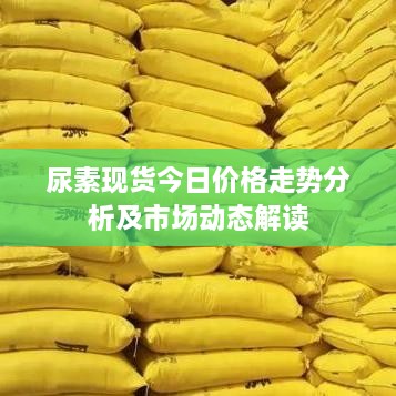 解決方案 第74頁(yè)