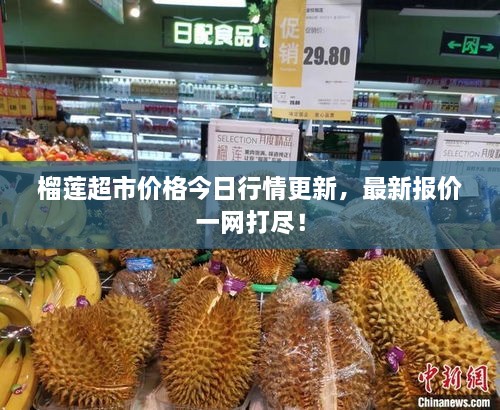 榴蓮超市價格今日行情更新，最新報價一網(wǎng)打盡！