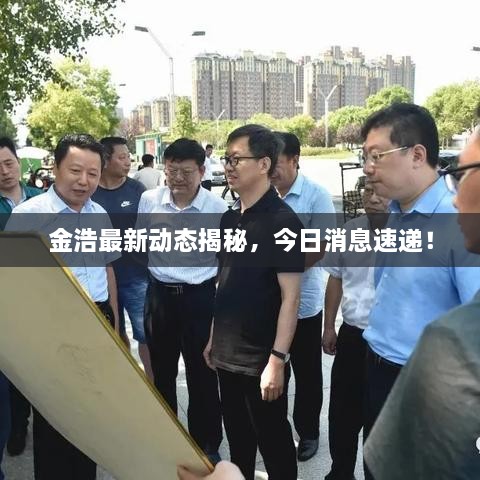 金浩最新動(dòng)態(tài)揭秘，今日消息速遞！