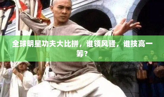 全球明星功夫大比拼，誰領(lǐng)風(fēng)騷，誰技高一籌？