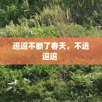 迢迢不斷了春天，不遠迢迢 